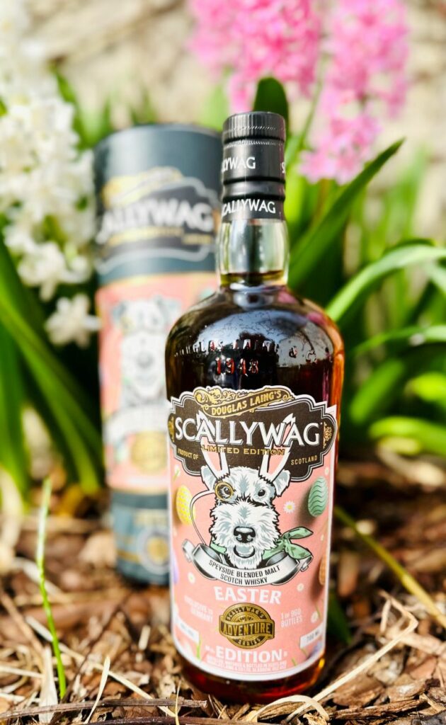 Scallywag 2024 1 4 verkleinert min