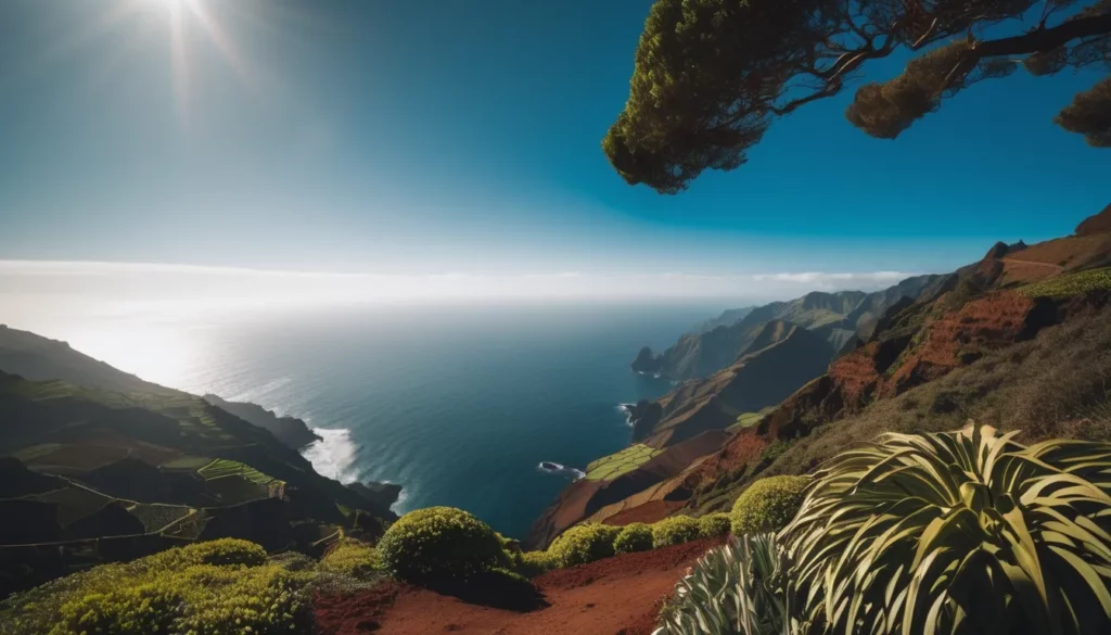 Gin Sul Jardim do Paraíso - Ein Hauch von Fernweh im Glas 1 Madeira Allgemein 6